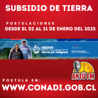 subsidio de conadi
